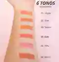 Rubor Blush Tono Selena #03 - Ani-k