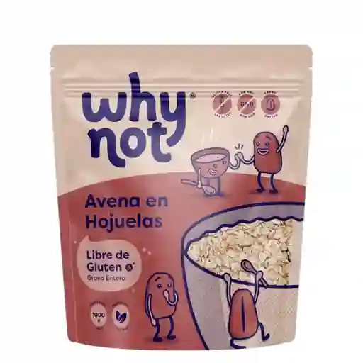 Avena En Hojuelas Sin Gluten 1000gr
