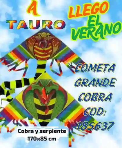 Cometa Cobra 170x85 Cm