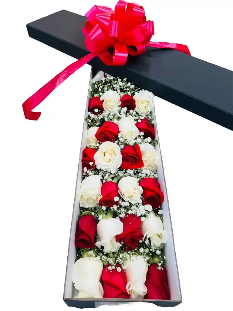 Caja De Rojas Ajedrez