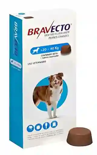 Antipulgas Bravecto 20 A 40 Kg Para Perro