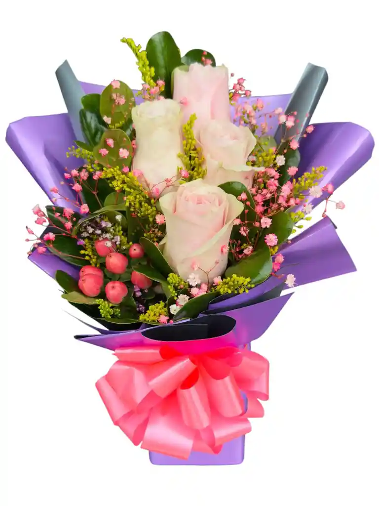 Diseño Reina Rosita