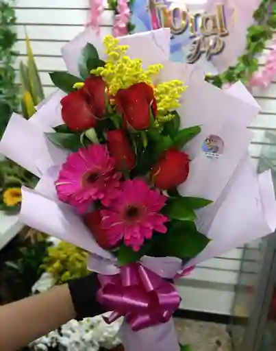 Capuchon Economico Kiut