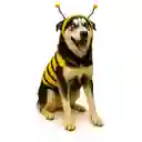 Disfraz Abeja Mascota 5 Xl Halloween