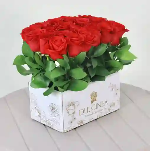 B0x 24 Rosas