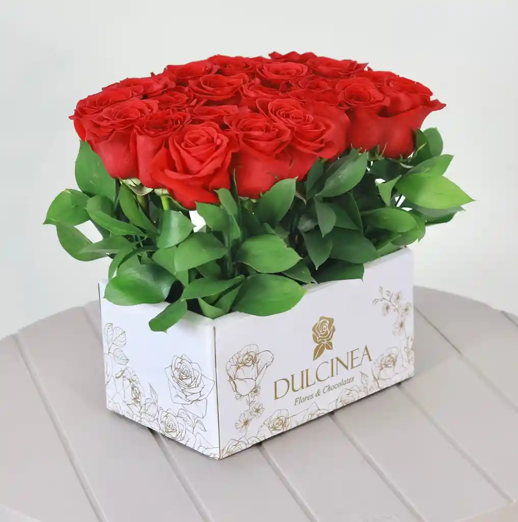 B0x 24 Rosas