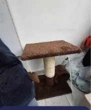 Gimnasio Pequeño