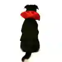 Disfraz Para Perros Grandes Dracula Talla 5 Xl Mascotas