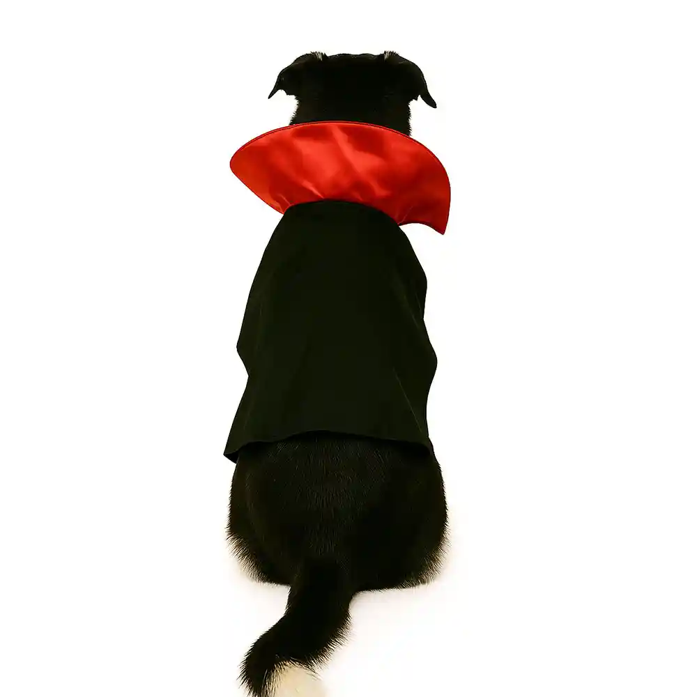Disfraz Para Perros Grandes Dracula Talla 5 Xl Mascotas