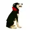 Disfraz Para Perros Grandes Dracula Talla 5 Xl Mascotas