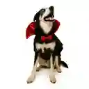 Disfraz Para Perros Grandes Dracula Talla 5 Xl Mascotas