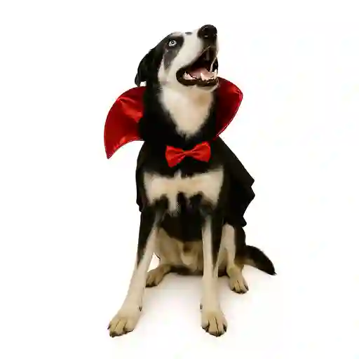 Disfraz Para Perros Grandes Dracula Talla 5 Xl Mascotas