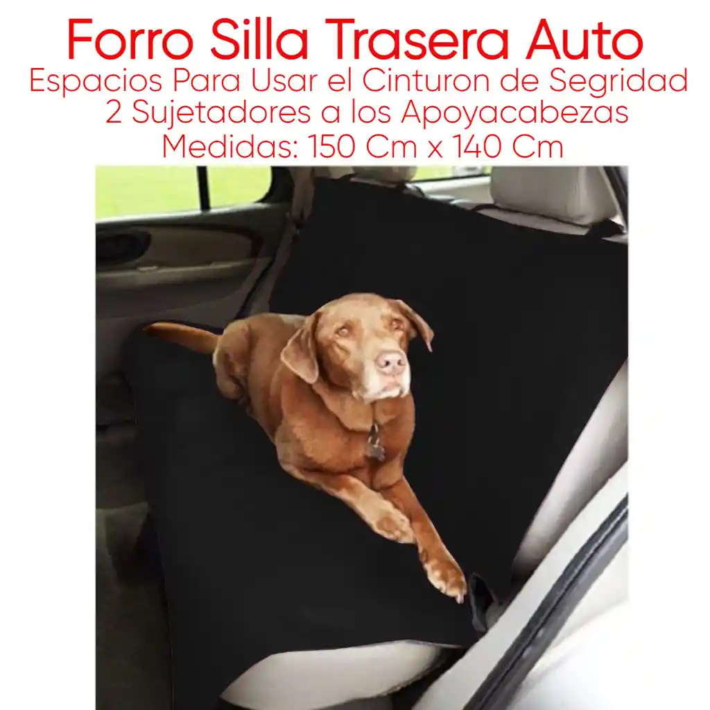 Forro Segunda Fila (sencillo) Negro
