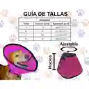 Collar Isabelino Talla M Azul Claro