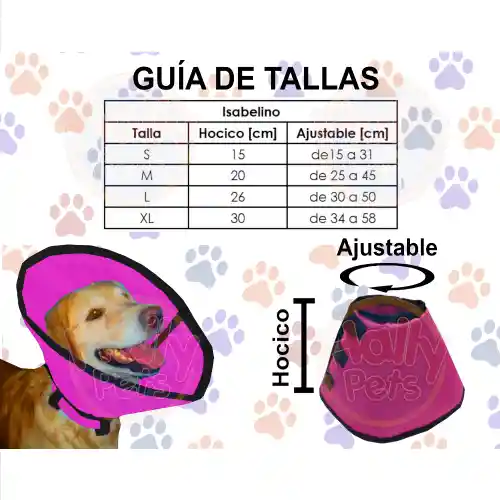 Collar Isabelino Talla M Azul Claro