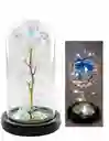 Rosa Eterna Con Led Para Regalo