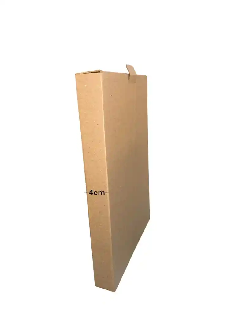 Caja De Carton Microcorrugado 26x4x37cm Plegable