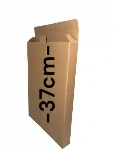 Caja De Carton Microcorrugado 26x4x37cm Plegable