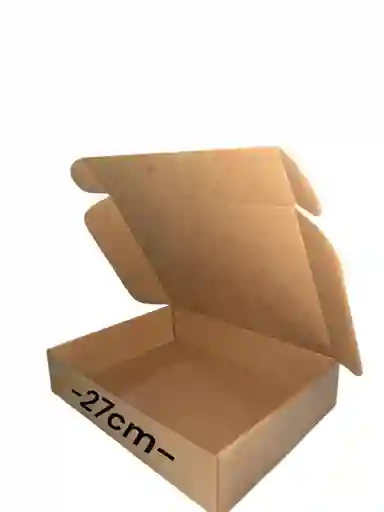 Caja De Carton Microcorrugado 27x20x6cm Plegable