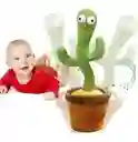 Cactus Bailarín Con Grabador Y Temas Musicales