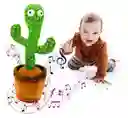 Cactus Bailarín Con Grabador Y Temas Musicales