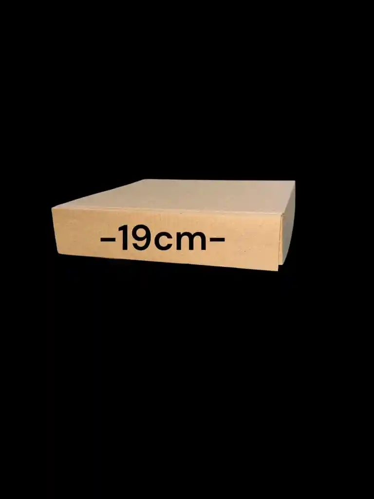 Caja De Carton Microccorrugado 28x17x5 Plegable