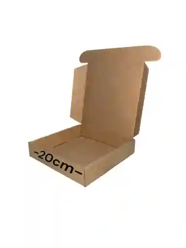 Caja De Carton Microcorrugado 20x19x4cm Plegable