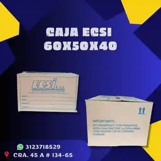 Caja Ecsi - 60x50x40