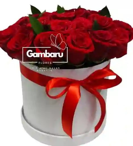 Flores Rosas Rojas En Cilindro Amor Lindo