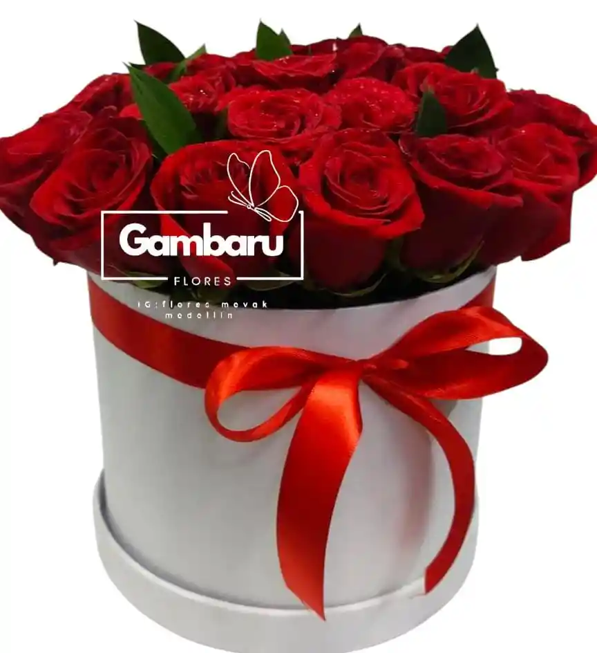 Flores Rosas Rojas En Cilindro Amor Lindo