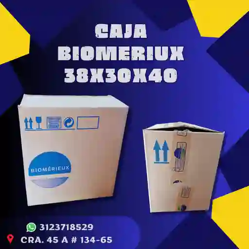 Caja Biomeriux - 38x 30x40