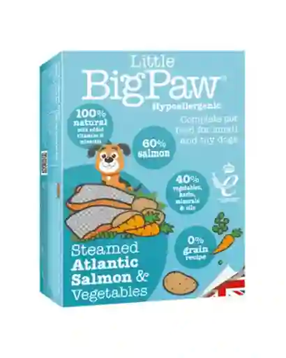Little Bigpaw Salmon Y Vegetales Perro