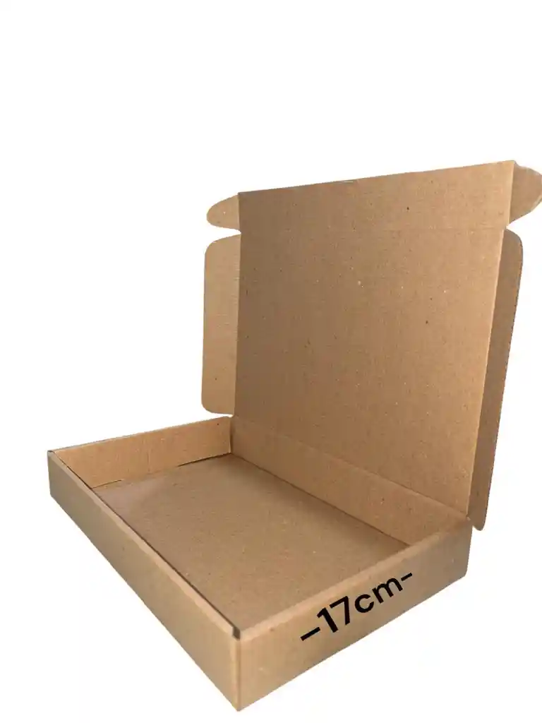 Caja De Carton 25x17x3,5 Microcorrugado Plegable