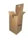 Caja De Carton Microcorrugado 13x13x23cm Plegable