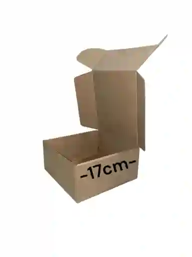 Caja De Carton Microcorrugado 17x17x8cm Plegable