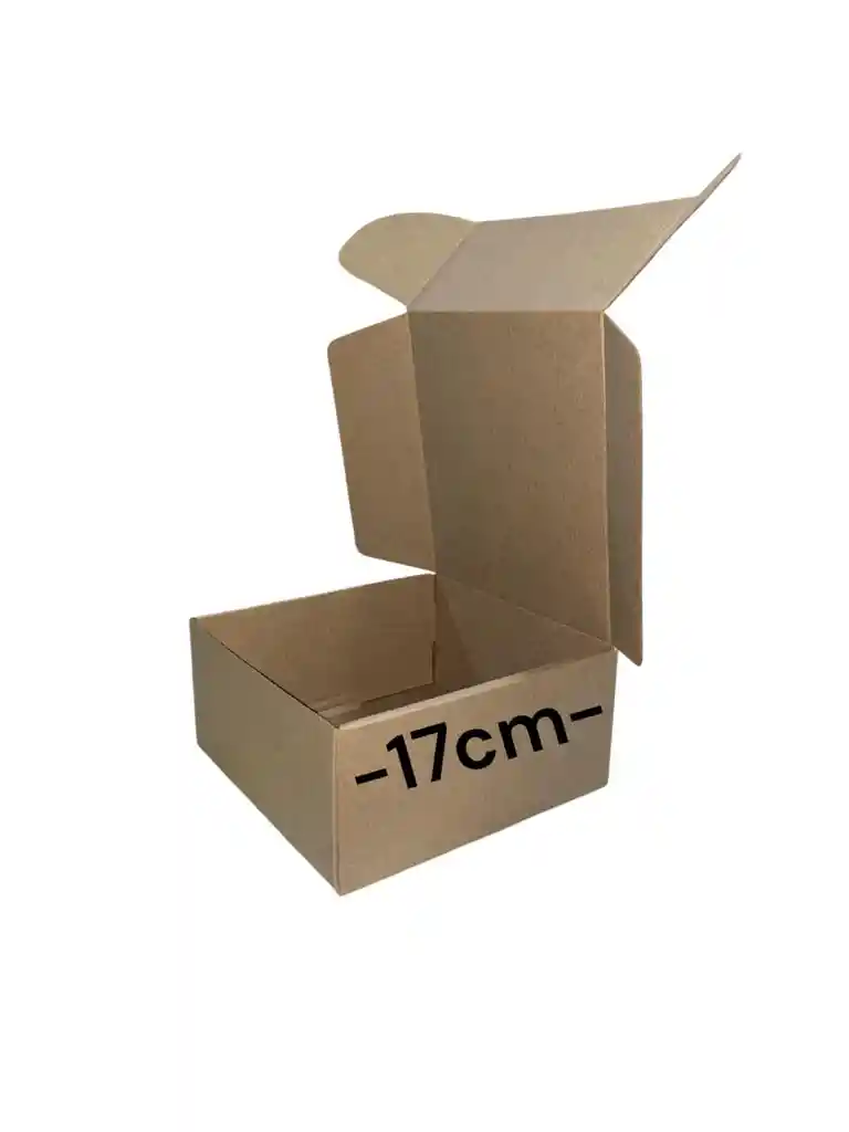 Caja De Carton Microcorrugado 17x17x8cm Plegable
