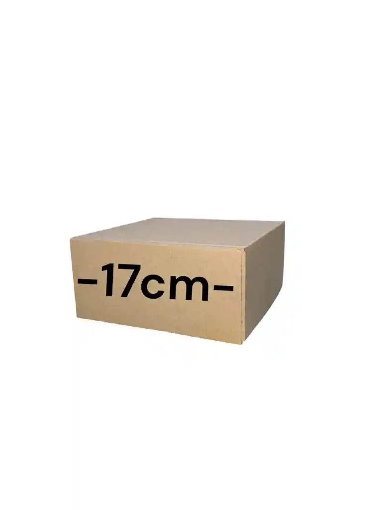 Caja De Carton Microcorrugado 17x17x8cm Plegable