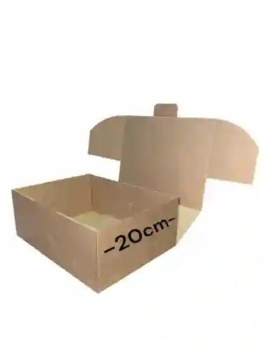 Caja De Carton Microcorrugado 26x20x10cm Plegable