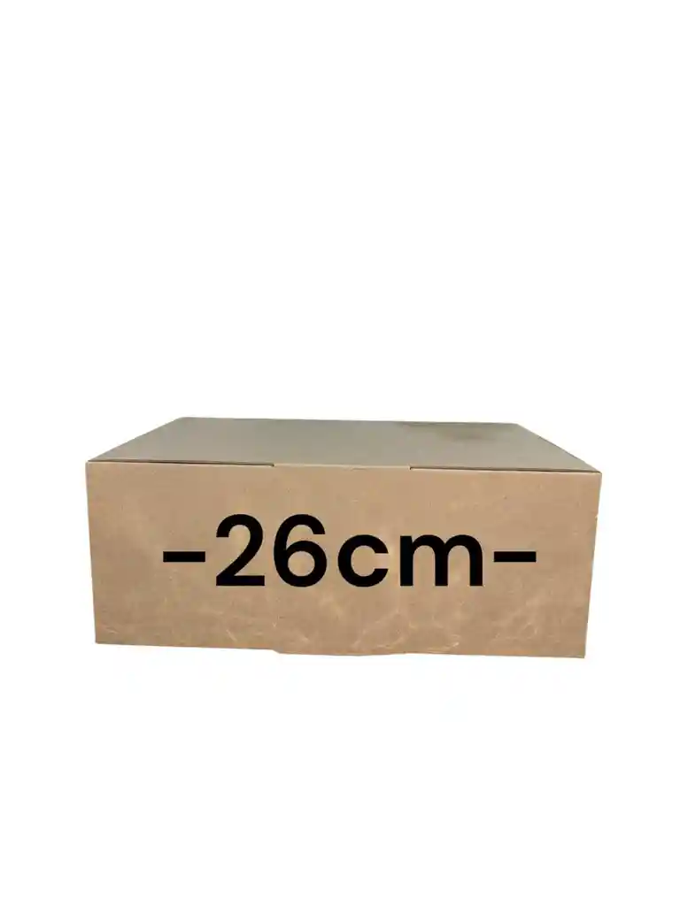 Caja De Carton Microcorrugado 26x20x10cm Plegable
