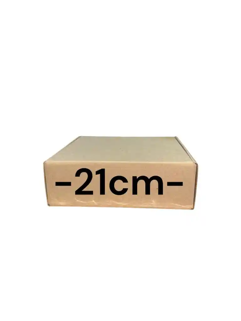 Caja De Carton Microcorrugado 21x20x7cm Plegable
