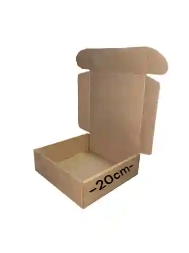 Caja De Carton Microcorrugado 21x20x7cm Plegable