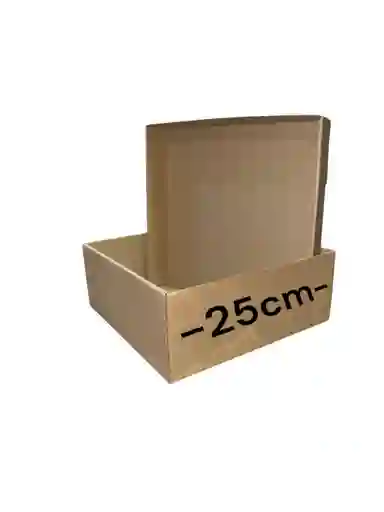 Caja De Carton Microcorrugado 25x25x10cm Tapabase