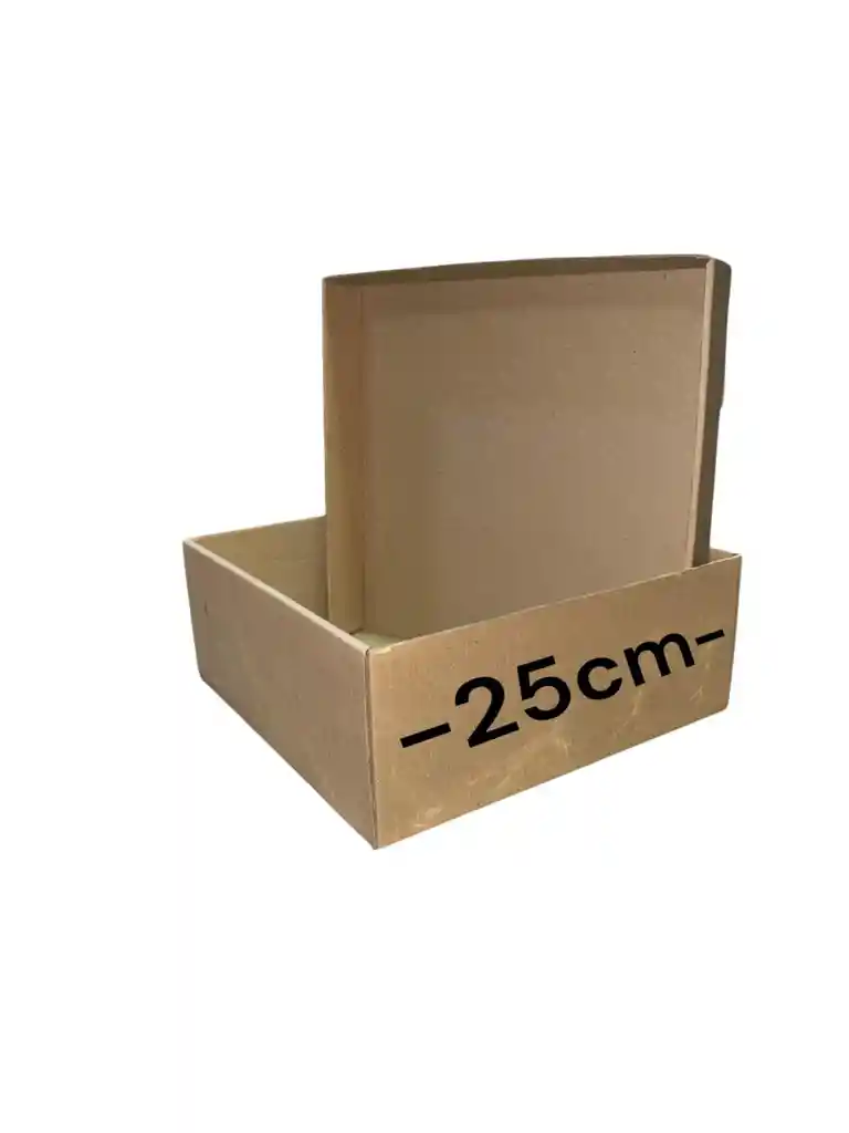 Caja De Carton Microcorrugado 25x25x10cm Tapabase