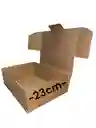 Caja De Carton Microcorrugado 33x23x10 Plegable