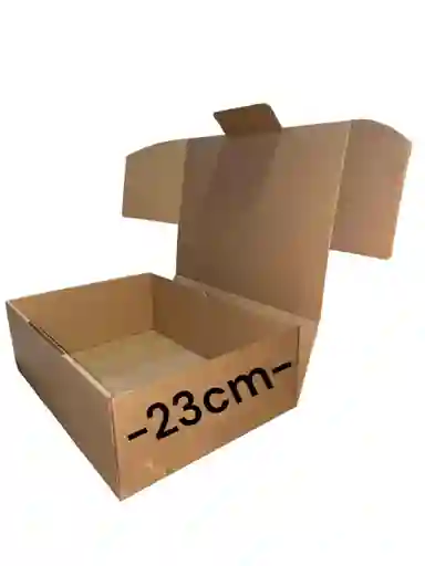 Caja De Carton Microcorrugado 33x23x10 Plegable