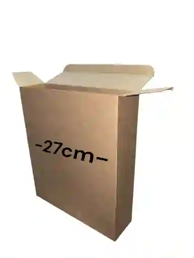 Caja De Carton Microcorrugado 27x7x30cm Plegable
