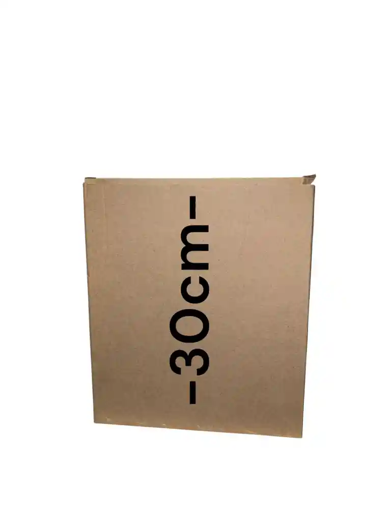 Caja De Carton Microcorrugado 27x7x30cm Plegable