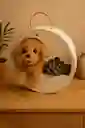 Sorpresa Perruna | Base De Madera Con Perrito De Peluche Y Suculenta Decorativa – 33 Cm