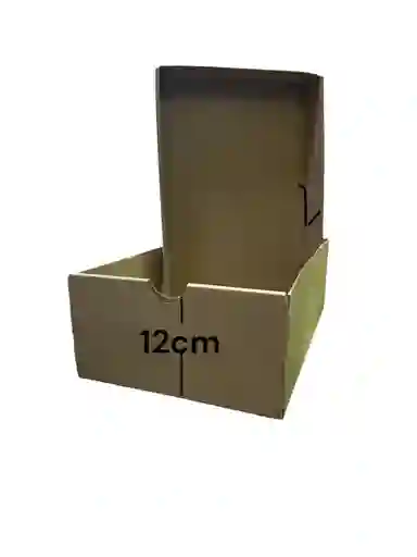 Caja De Carton Microcorrugado 34x23x12cm Plegable