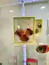 Juego De Resina Dije Grande Rombo